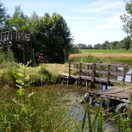 Gite Le Moulin De La Chaussee Saint-Denis-d'Orques Kültér fotó