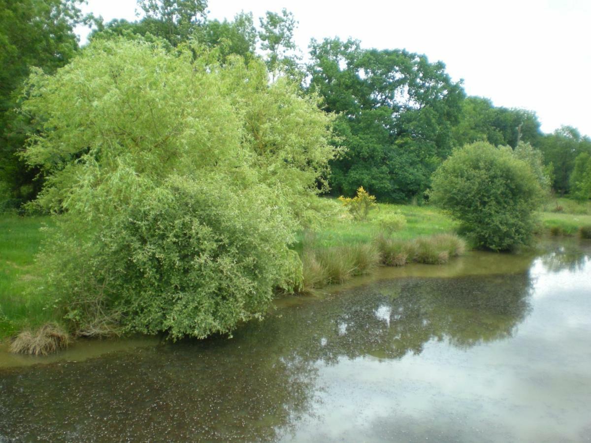 Gite Le Moulin De La Chaussee Saint-Denis-d'Orques Kültér fotó